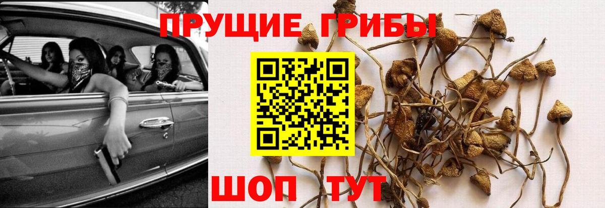 Псилоцибиновые грибы мухоморы  Псилоцибиновые грибы MAGIC MUSHROOMS  Вход с VPN  Топки 